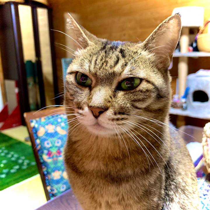 37e4ff8f 86a2 41b6 a000 aef22e73ead1 1649507692280