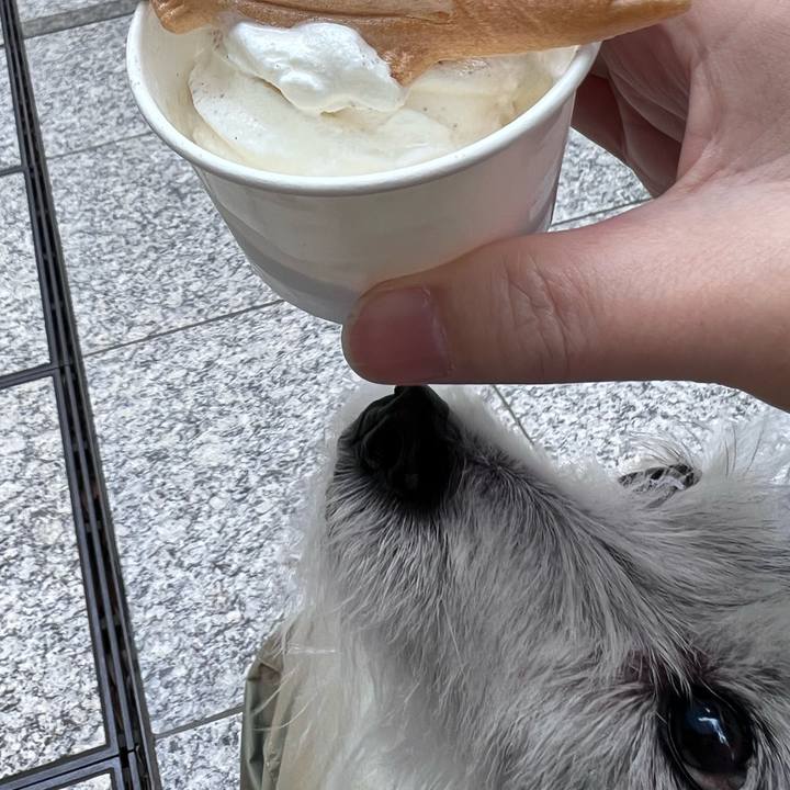 37e54121 52d4 4460 a4a4 2d8b76d66c7d 1647674287360