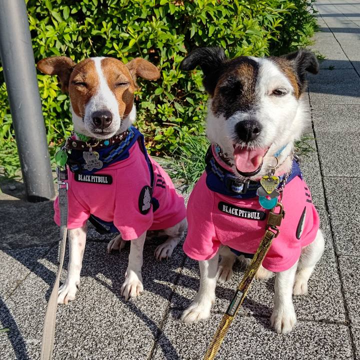 37e542c2 d10f 49fd 8d1f 3353d8bb5c0a 1657317851752