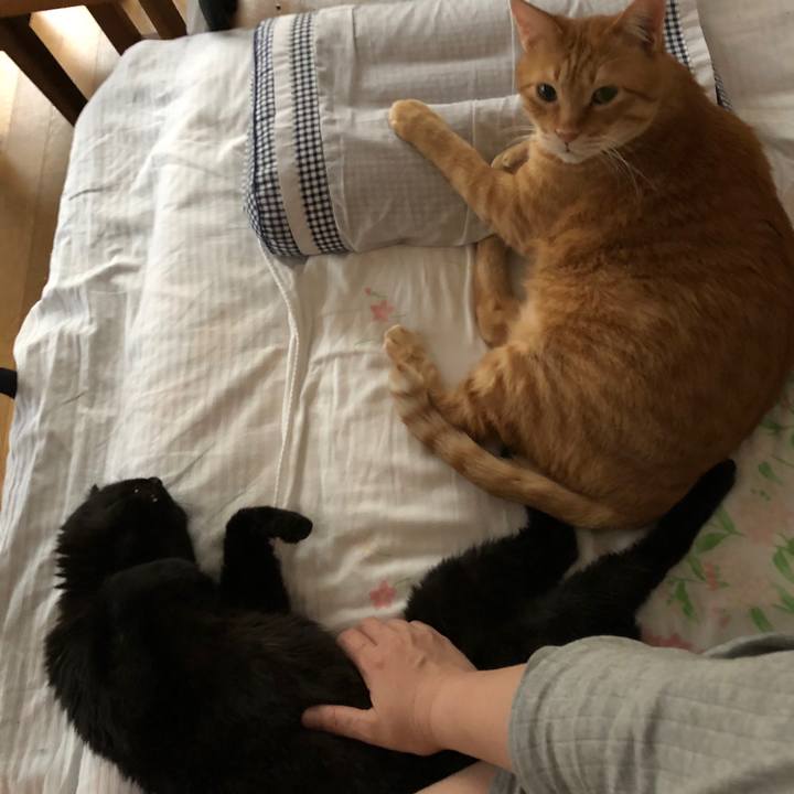 37e54ab2 5185 4285 ae66 6485927c76ab 1583531679618