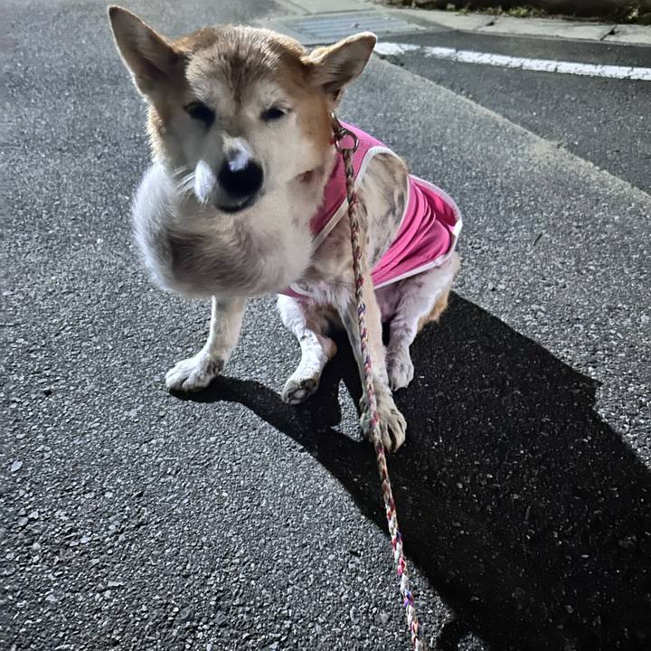 37e5567c 9bfa 4843 a4d6 4132abb6dea8 1762347511670