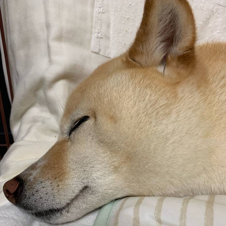 37e5690a 7907 4f8e 996e f1637a5fcff5 1655383408816