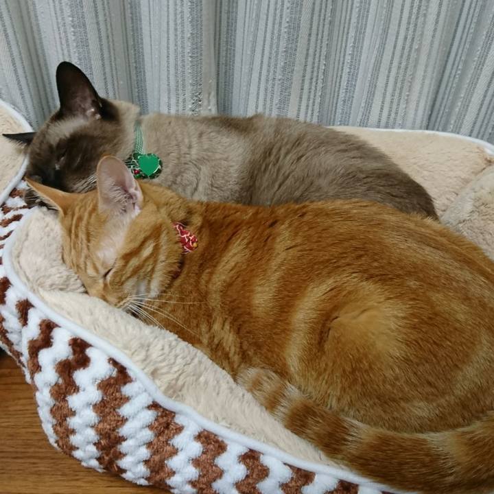 37e5ba75 ddc7 4a6d 83e5 95ee93ed4b48 1508669551979