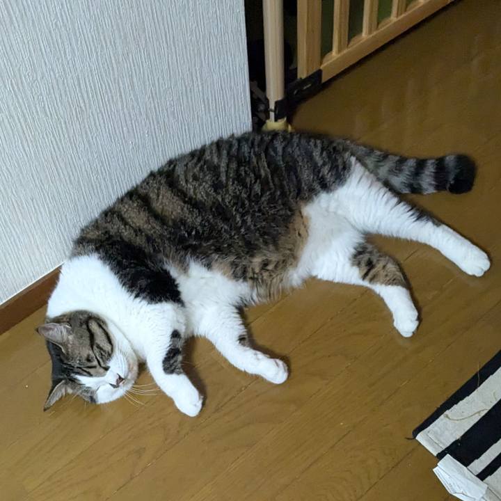 37e5be54 d2fb 4e35 bd5a ac684aecc3d2 1727563085375