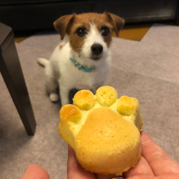 37e5efe4 282d 47bb a18a cb0ceba0485d 1533472791991