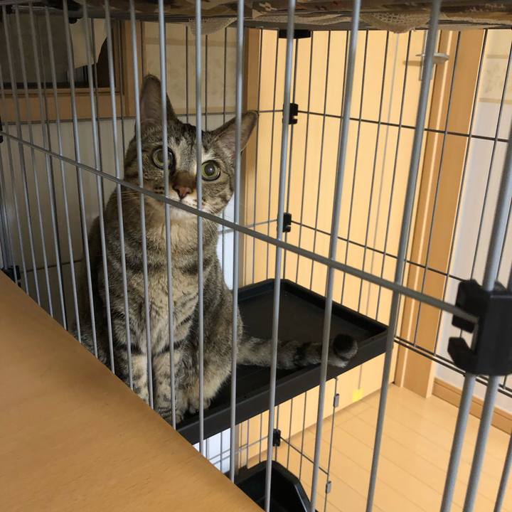 37e5f886 fab4 4238 a1e8 bf314dfb1b65 1624977719175