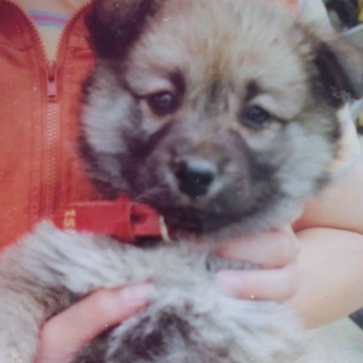 37e61f93 cfdd 4203 b319 7483fd3f7598 1588479317551