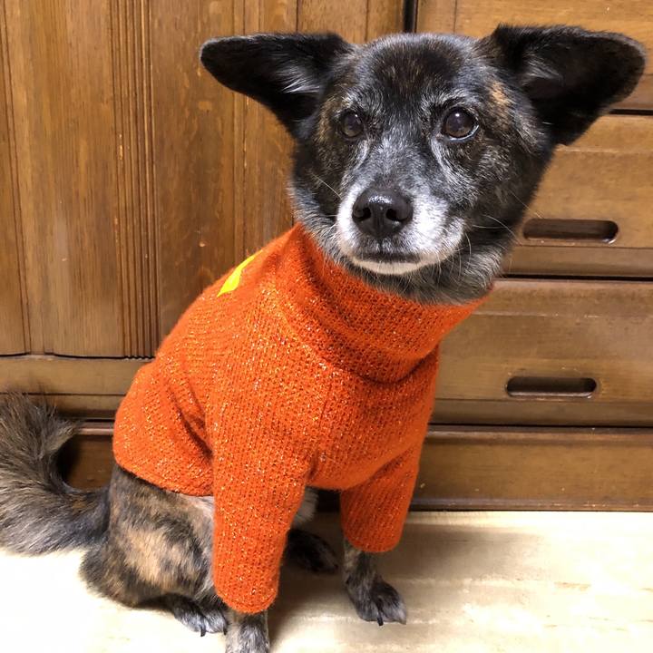 37e65f5f 39c7 487b be1d 8dc73368f6ee 1601214527295