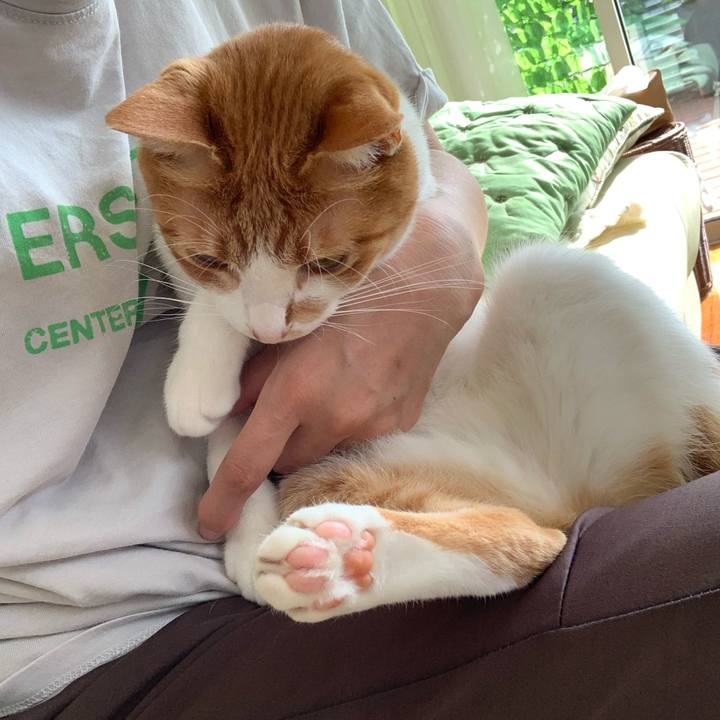 37e68fe3 34d6 46b1 b418 ee89af531d1b 1592174360472