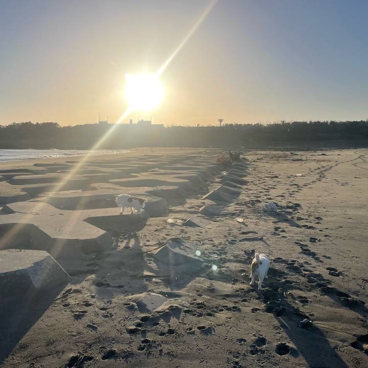 37e6a278 5e36 4af4 be16 e886c964300d 1702079251926