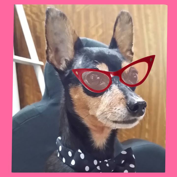 37e6ddc9 7c1d 466c bd94 eb92e22dbbb1 1771124219567