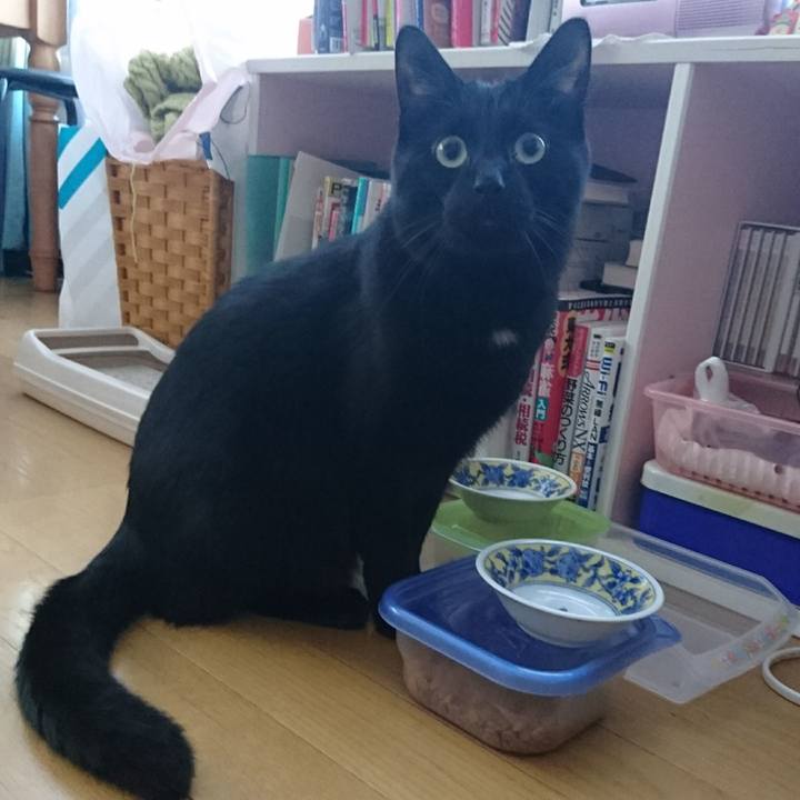 37e6e1d6 991a 4626 beda 8e8e04c70a92 1514610322670