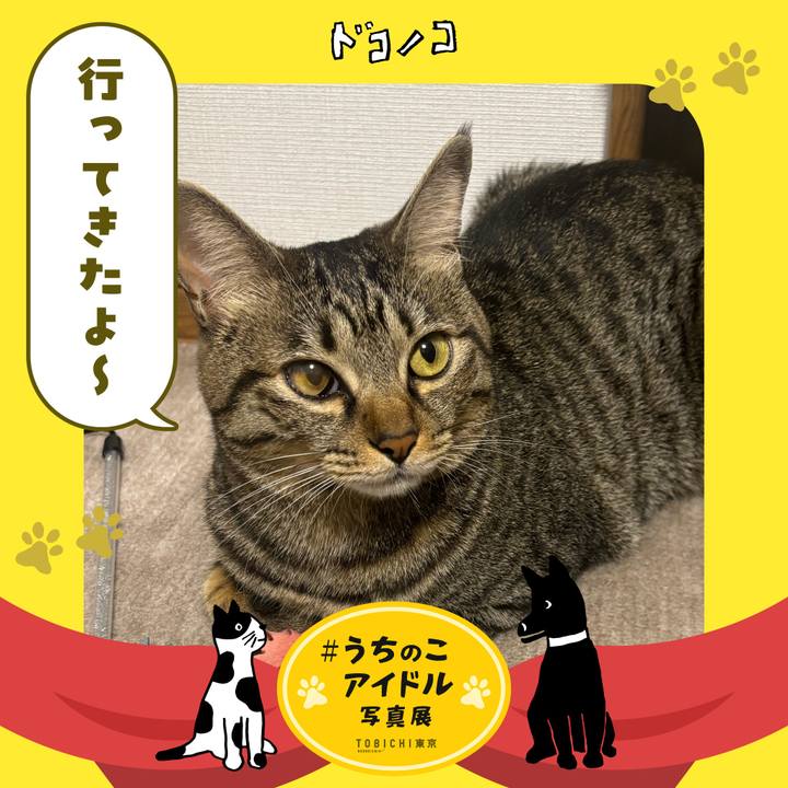 37e7003b 1fb7 4980 961e f6c95b42569f 1761615406836