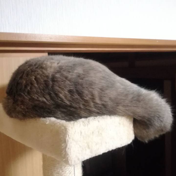 37e719fd edfd 4a66 8c6f 5b3f38918828 1512953007848