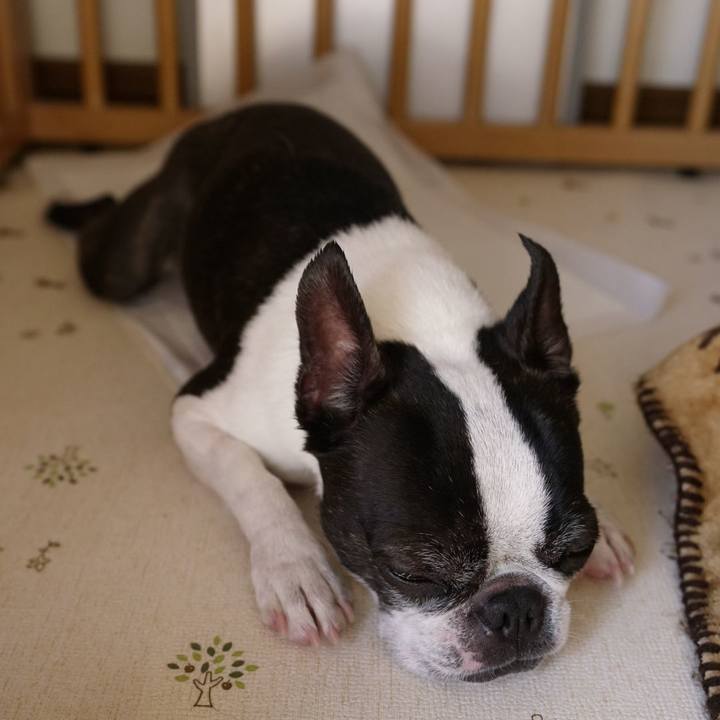 37e728d8 2689 4b73 9466 9e2c2681f0da 1520166000966