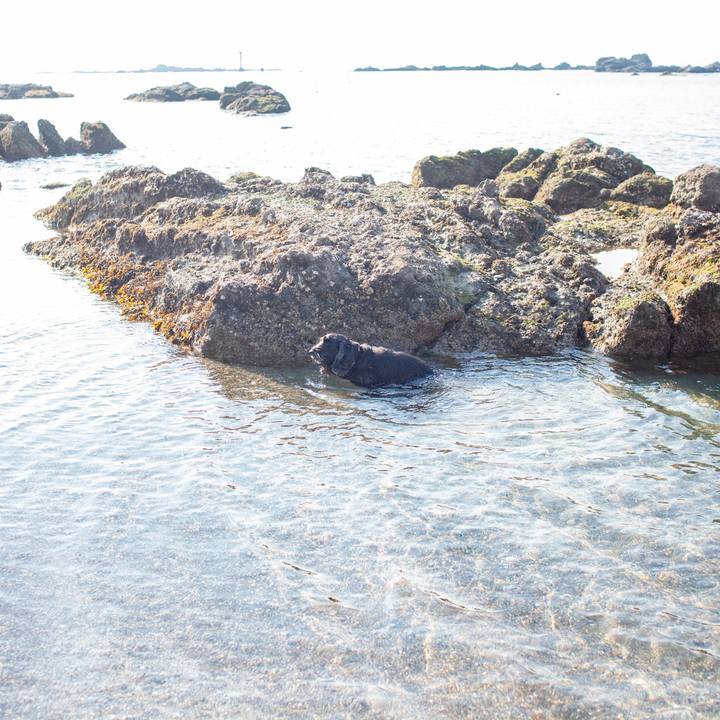 37e7378b e51f 4f00 86b5 a21f6b08021d 1553603641005