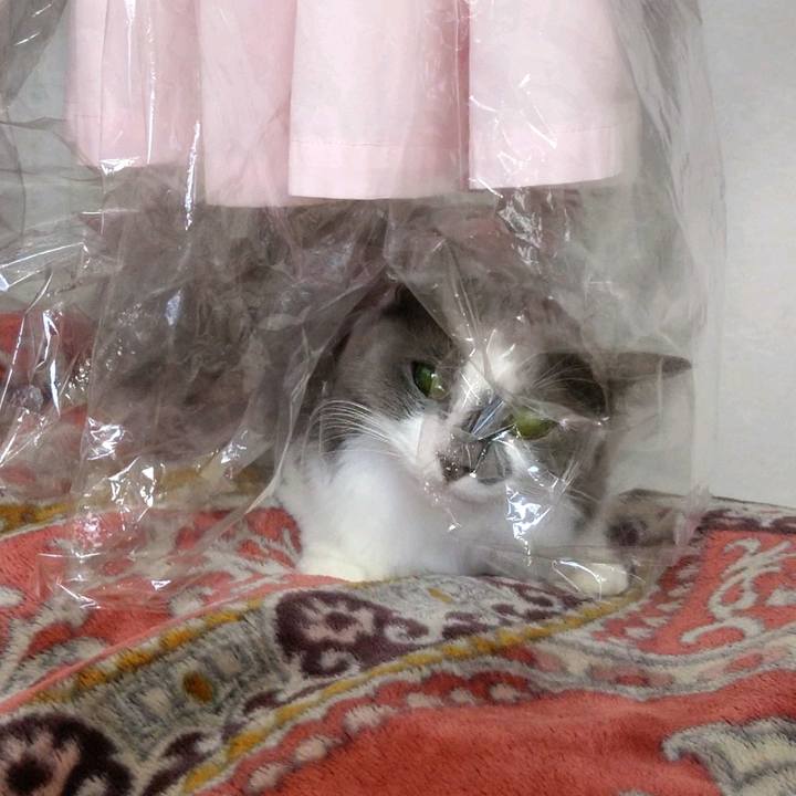 37e75d2e 6ae7 464b aa22 70e366c818b3 1606536819031