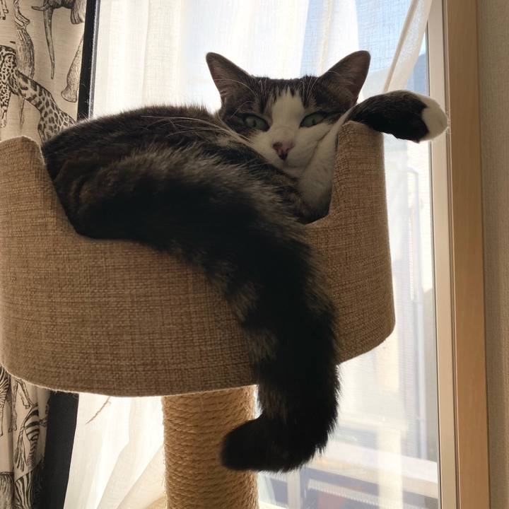 37e7718a 1f17 42e6 ab66 91a4fec3a426 1644416646791