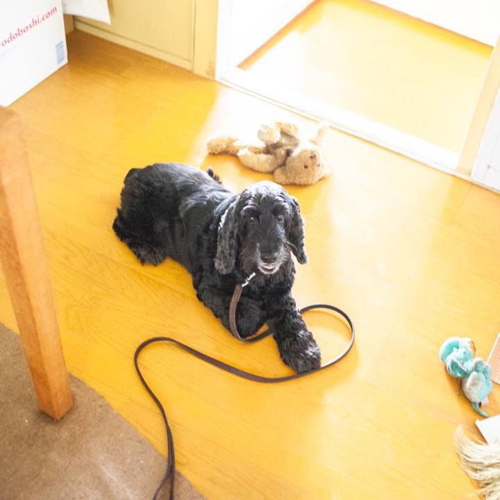 37e788c8 8a44 4c75 918d c45d6d9e15e9 1561597129725