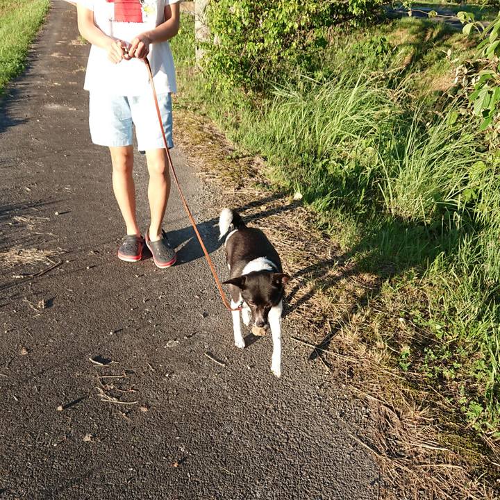 37e7d51a 1fab 461d ab67 d6067cfc1148 1591525670063