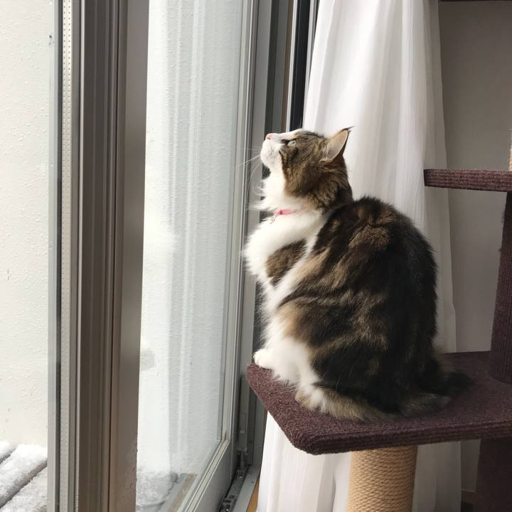 37e7f64c 33ff 40c5 bd01 2a26273c6d43 1517529843083