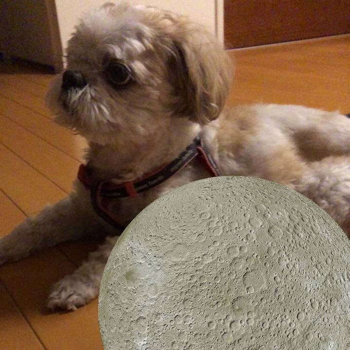 37e80427 b167 4b79 b0e5 e4153467d32b 1632260212005