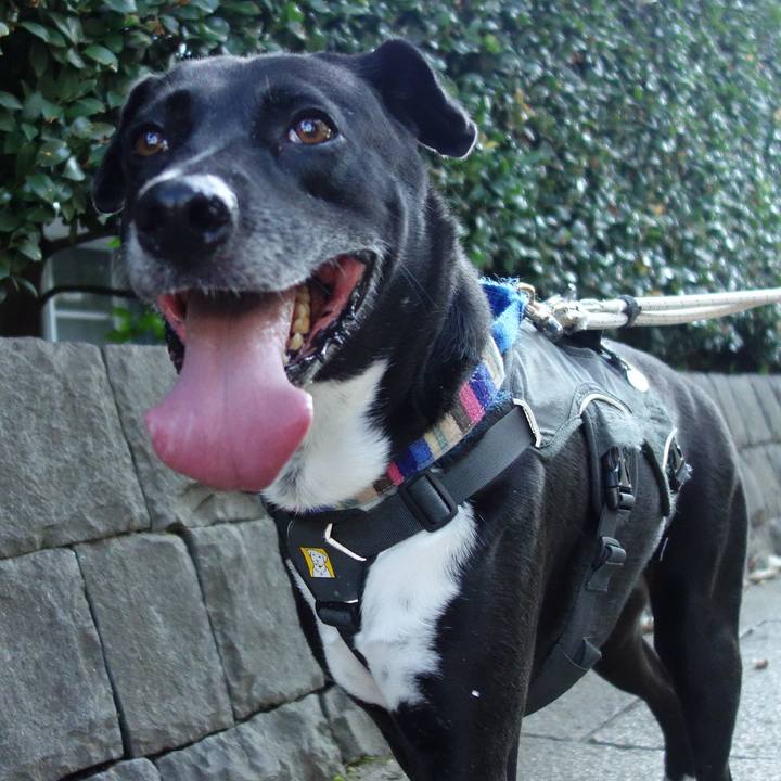 37e82e59 1098 4f53 8754 254307ce0633 1658534924397