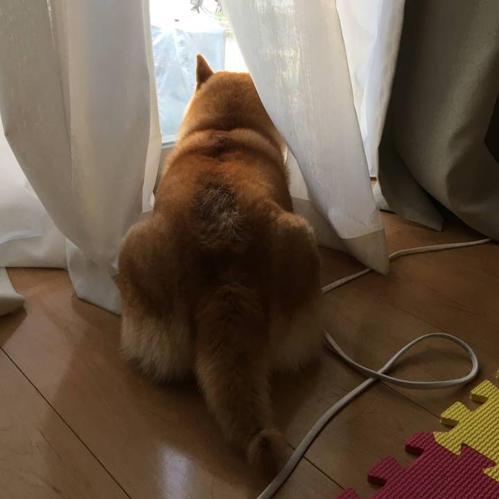 37e859b5 d865 4792 bdbf ddb8d33a9593 1540170628779