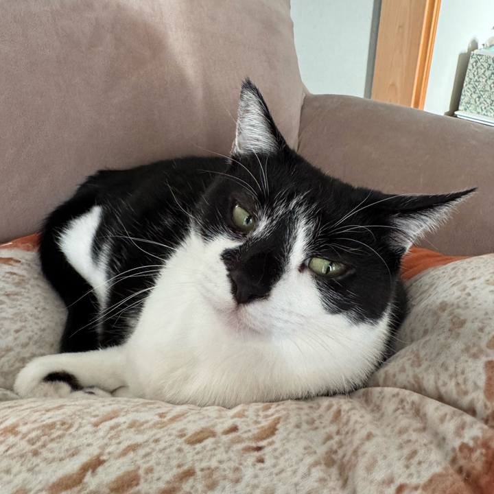 37e86095 d557 4a3a 807b 0c7a00515f18 1766619920318