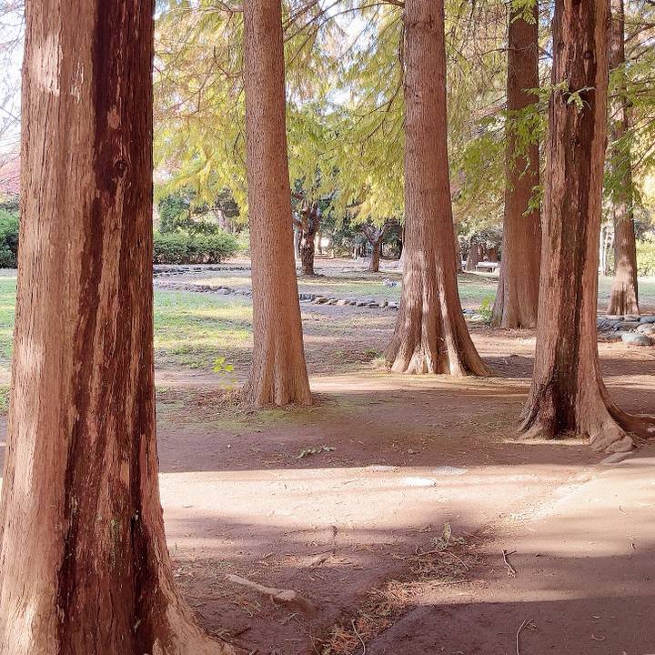 37e89d81 c747 469a a598 007c33994156 1732325180540