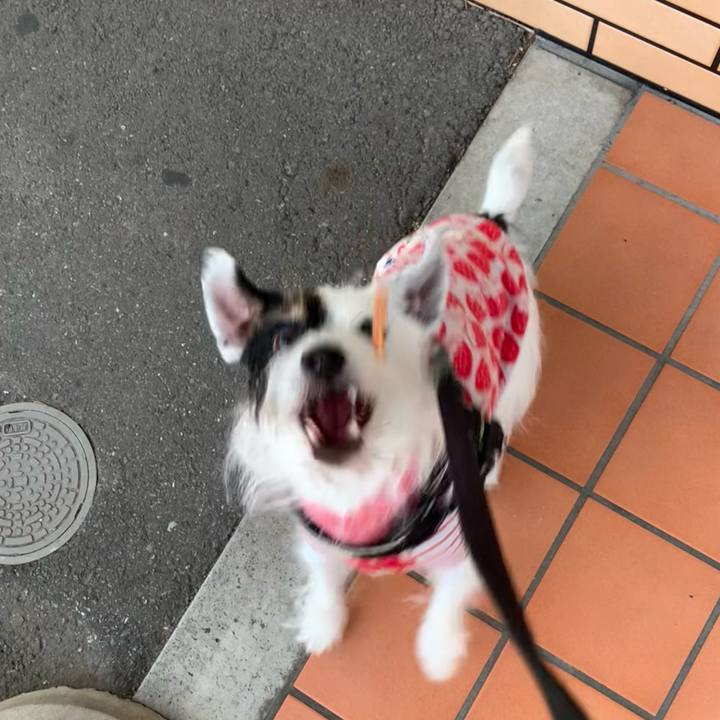 37e8c173 50cc 429a 95b0 bd17314aca1a 1702799496541