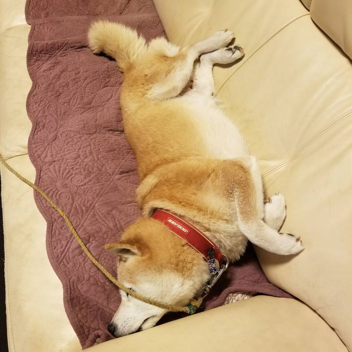 37e94c8c 8d3f 46b8 8490 8abe8c40f52b 1727301121055