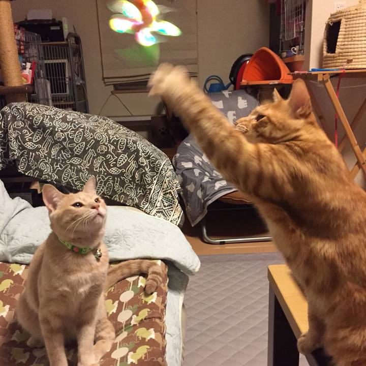 37e954cc d4cb 4275 b4a4 de3a92518fe9 1560066360238