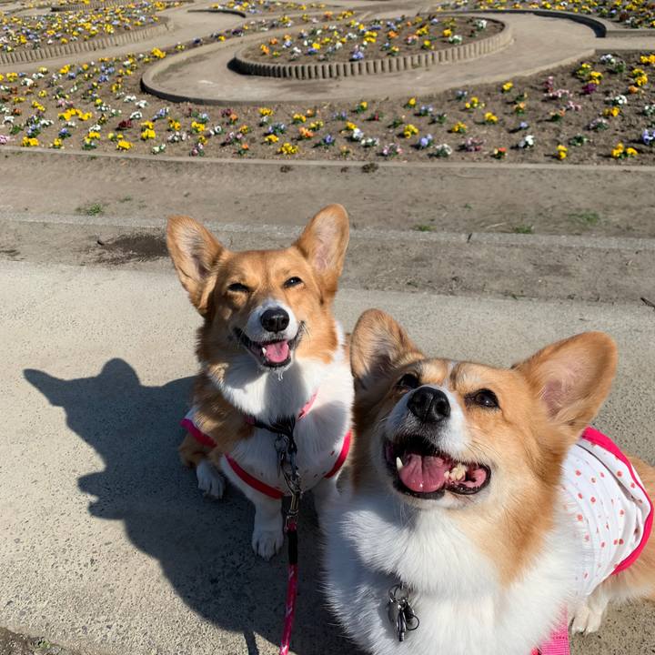 37e95f8a 573d 43bc a6b5 4ab0991c7156 1584603321327