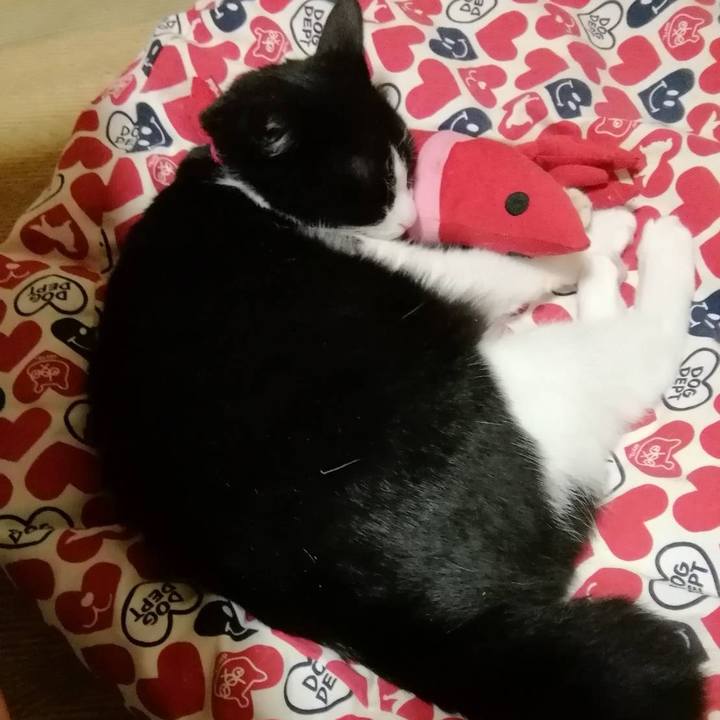 37e97c95 3303 46e2 ae35 880765f2f576 1560429195493