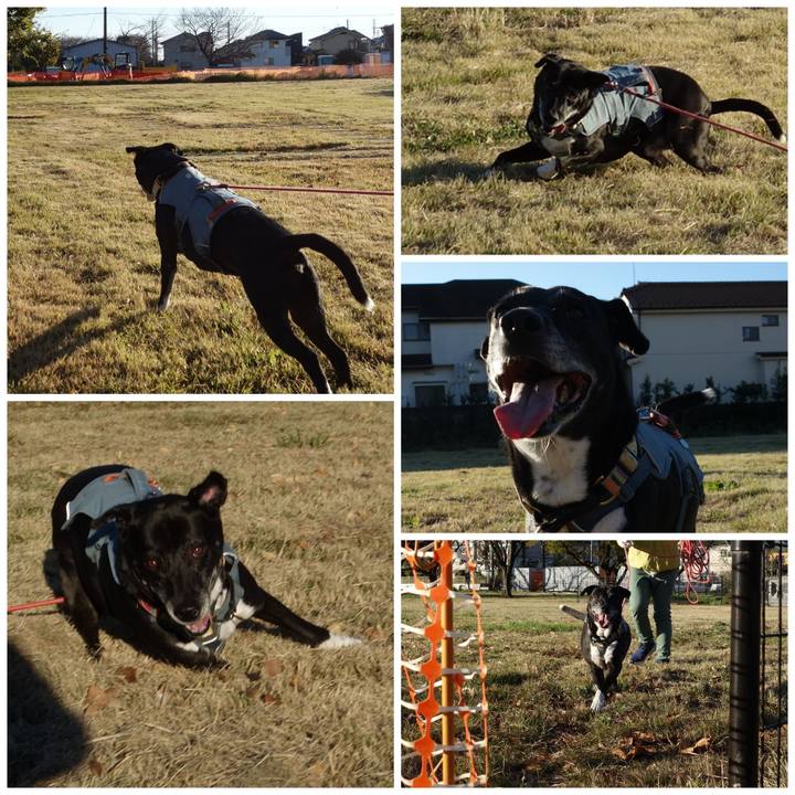 37e987ce 8e10 41e9 acac 5f7e6f4819fd 1732495596985