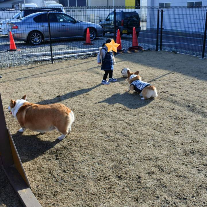 37e9a286 4cf2 42c2 a4ad 1738482debac 1521976591258