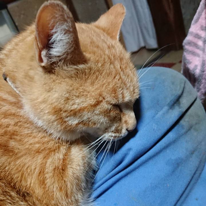 37e9d440 8f4a 4eed ad80 d544d3fd9e6a 1590526113444