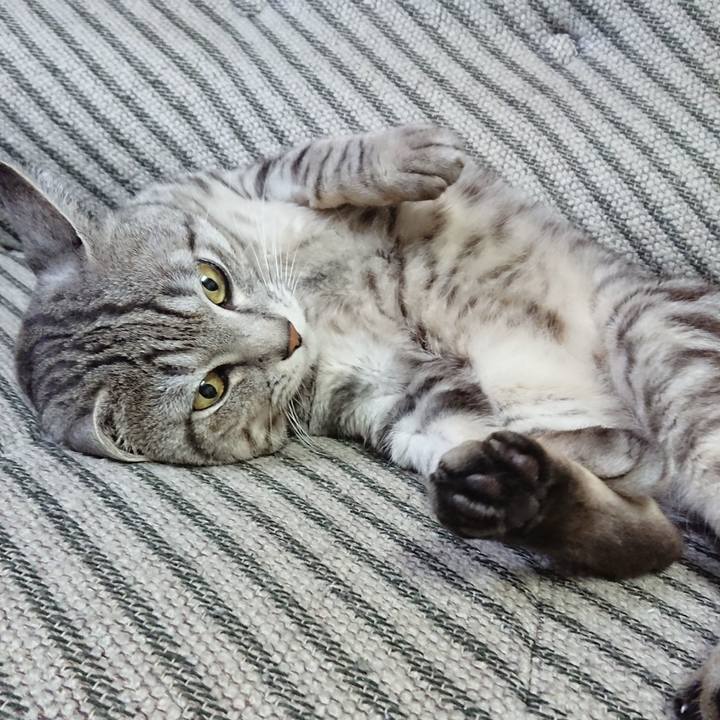 37e9e4a8 5c89 4fe5 9149 63293b1b64c1 1558337185700