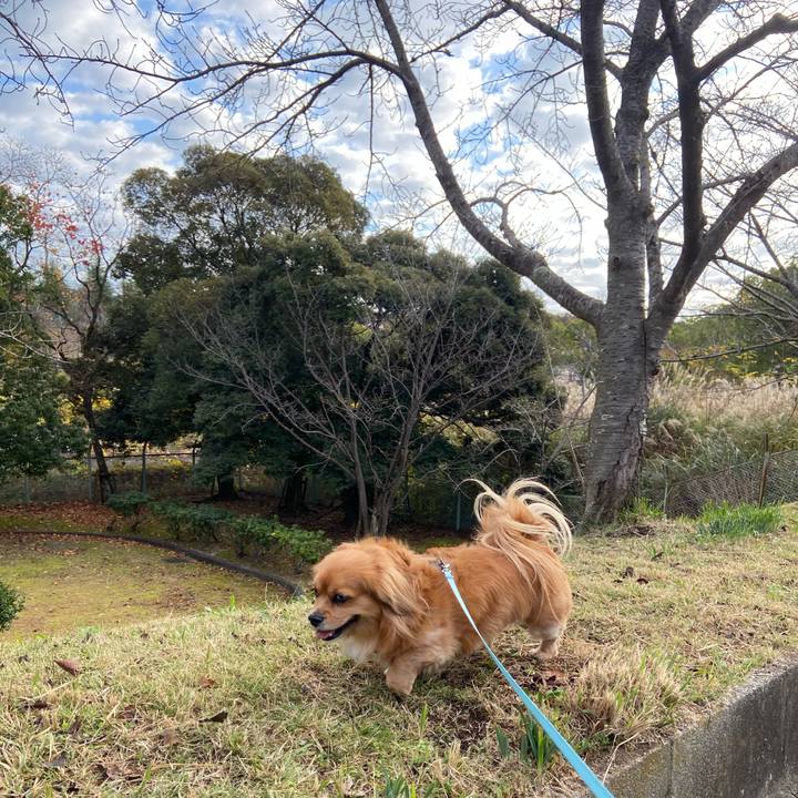 37ea3033 429f 44b6 8253 39e7a12cab53 1606002594600