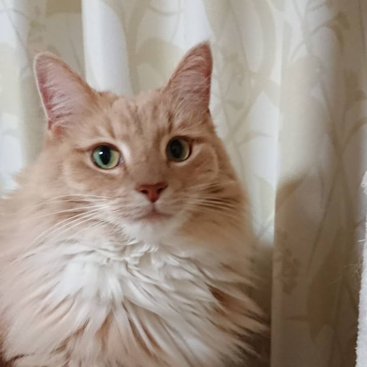 37eab145 b849 4d66 9e1e b712606ef9e5 1519900948743