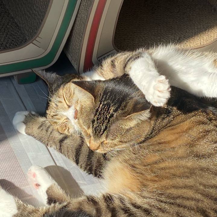 37eab287 3028 4d25 b92f e11599ec3576 1638234966853