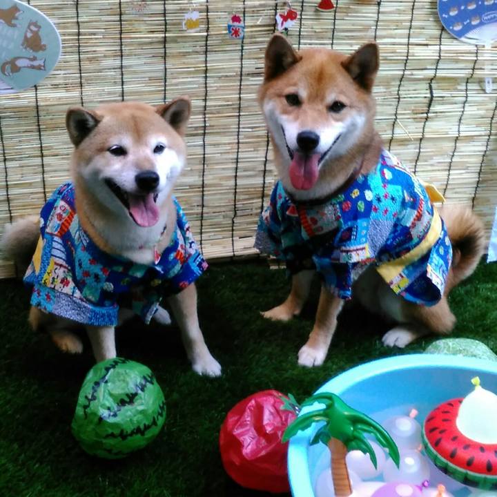 37ead36e f400 4178 a664 3ab16540b00f 1533383427885