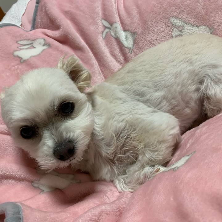 37eade30 90bf 4fc2 9be9 f45cc207ab3b 1578479986598