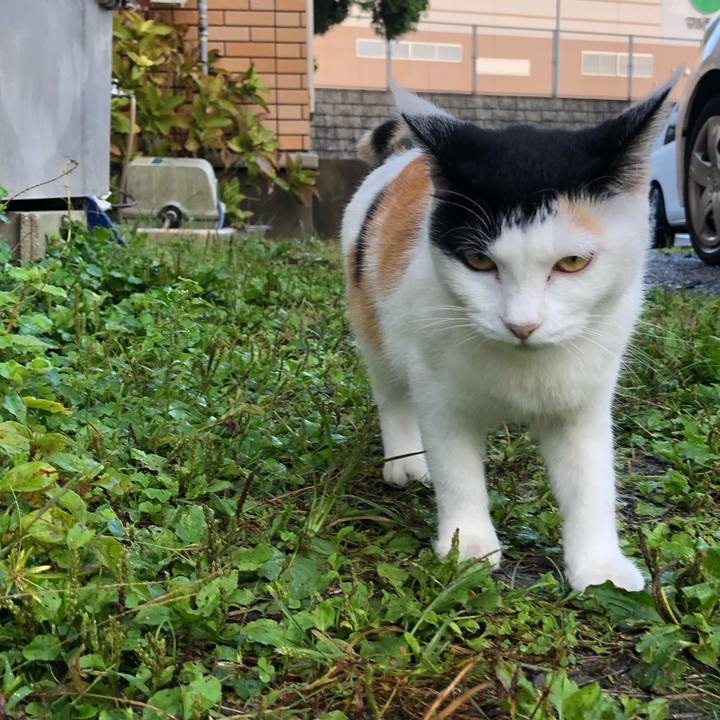 37eb0f60 b446 4b66 a86b 80908deeec74 1600986003001