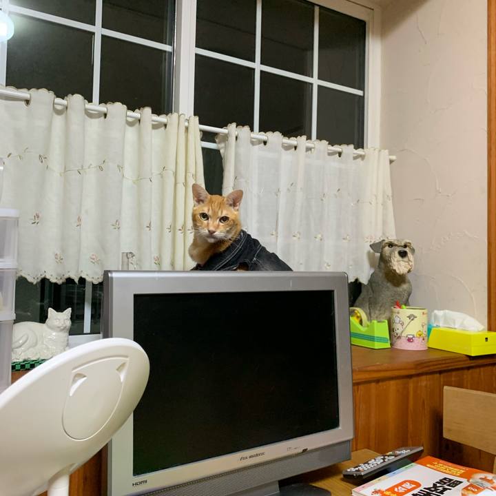 37eb3d75 949d 46d3 bd28 73b77a9b4b55 1625137445657