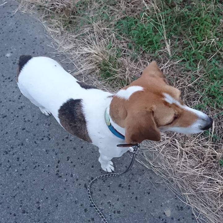 37eb818c 33c4 4b5f 8232 64a4df1f8981 1570009526586