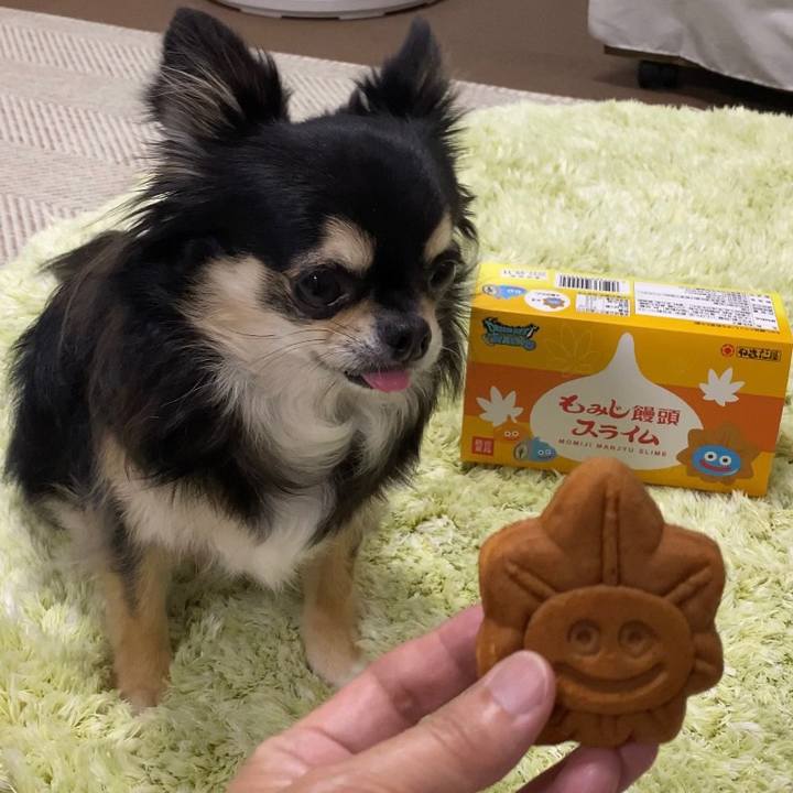 37eb8e6d 3d98 4658 8bac ee5d6ea87570 1662246334347