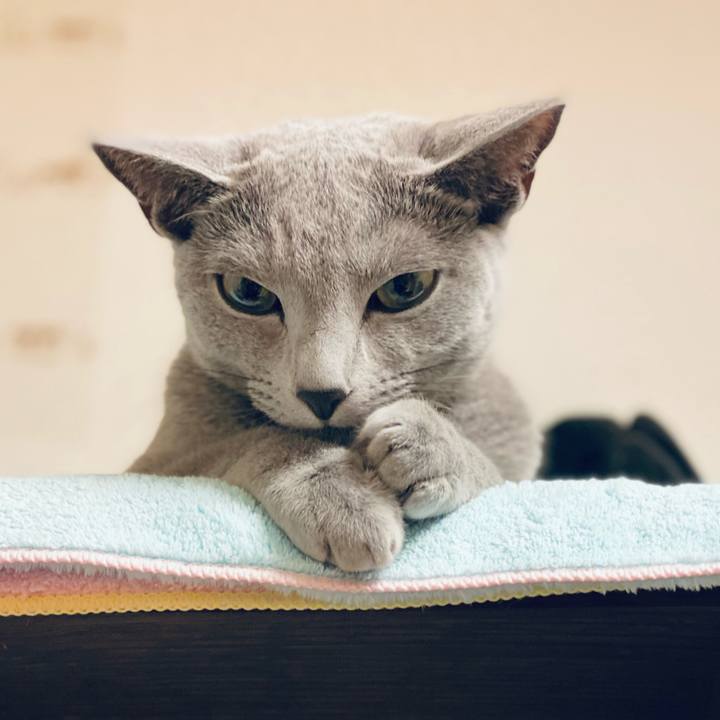 37eba5ba eeb5 4e4e 8b53 2174cf0bb5e2 1636861490404