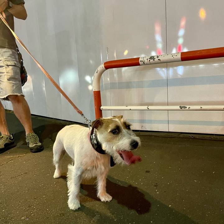 37ebff2a b3a9 403b ac1f 8a900c7b466c 1659536166571